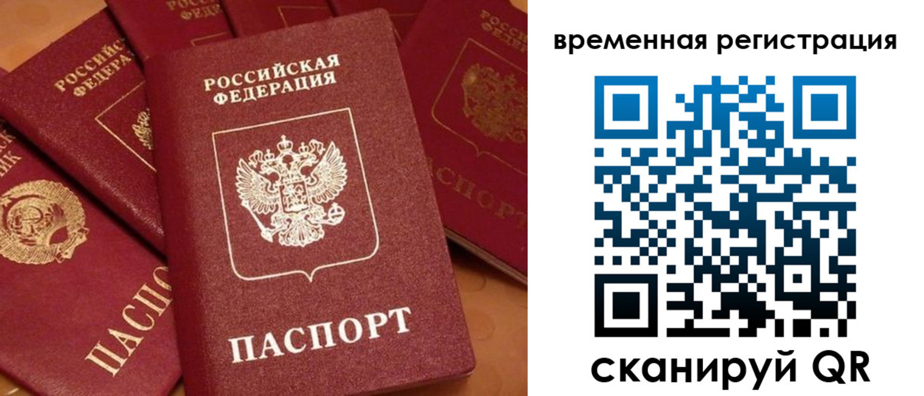 где прописаться в Тосно