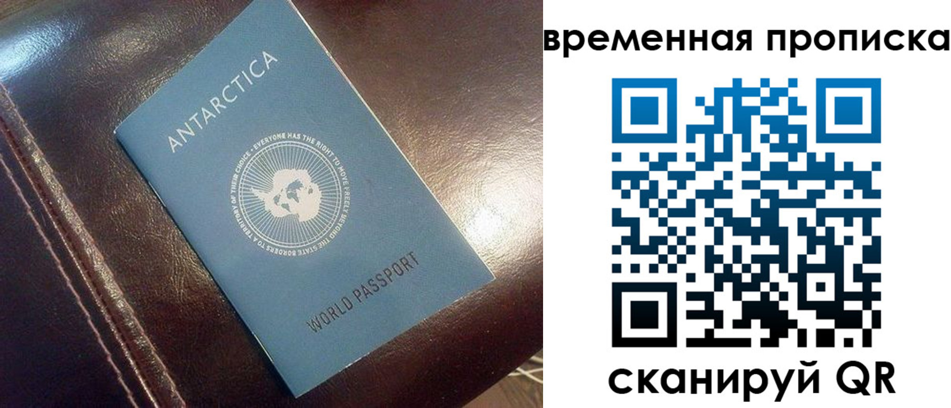 прописка паспорт в Тосно